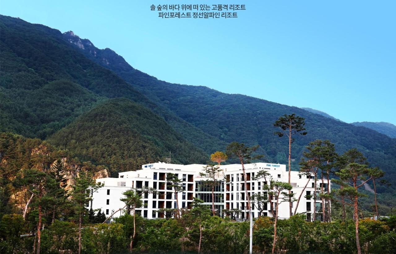 Pine Forest Jeongseon Alpine Resort Eksteriør billede
