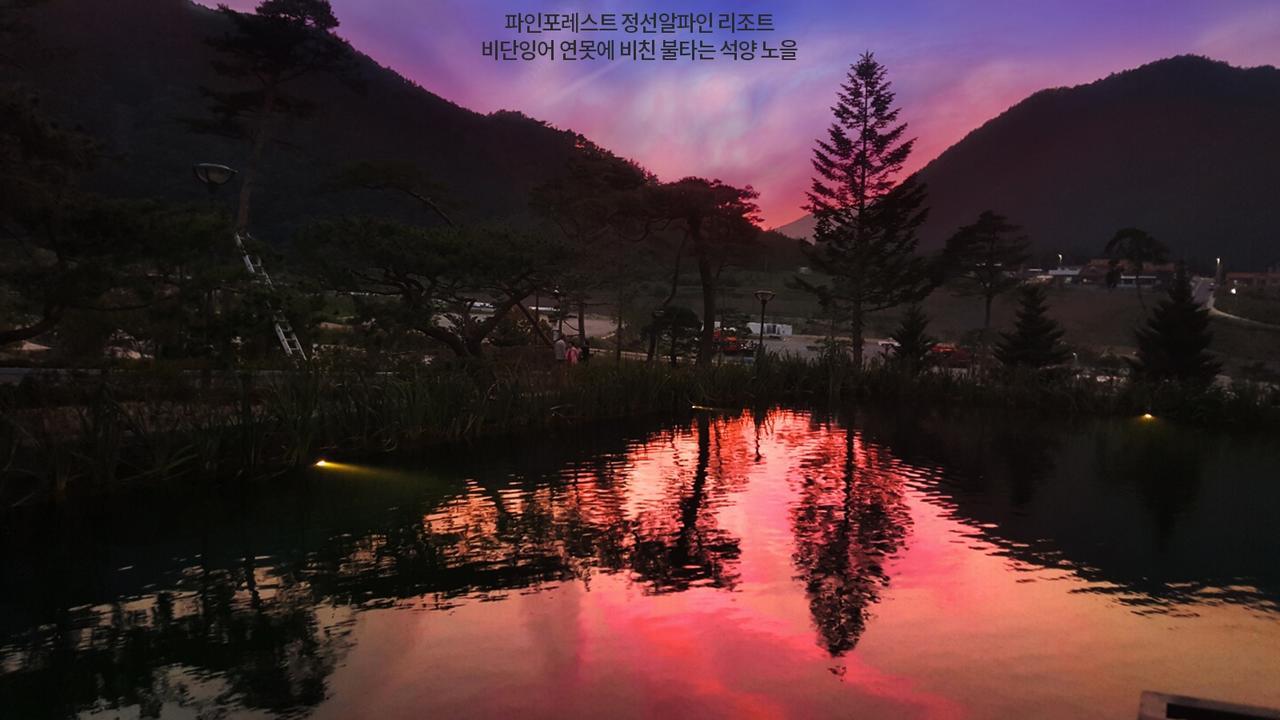 Pine Forest Jeongseon Alpine Resort Eksteriør billede