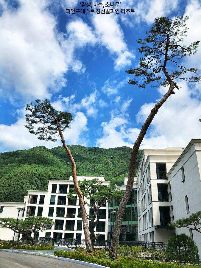 Pine Forest Jeongseon Alpine Resort Eksteriør billede